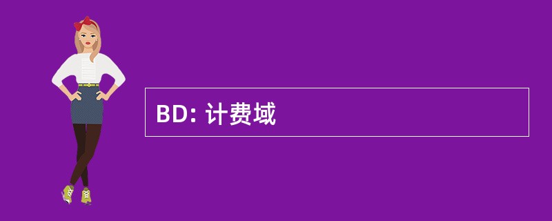 BD: 计费域