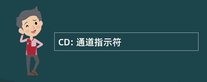 CD: 通道指示符