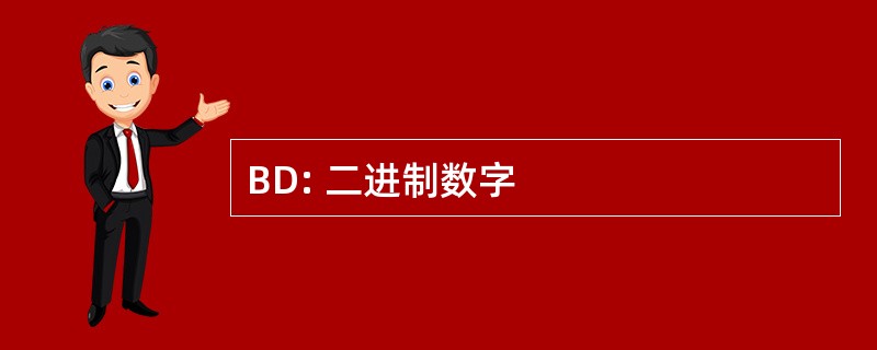 BD: 二进制数字