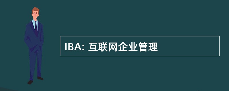 IBA: 互联网企业管理