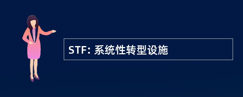 STF: 系统性转型设施