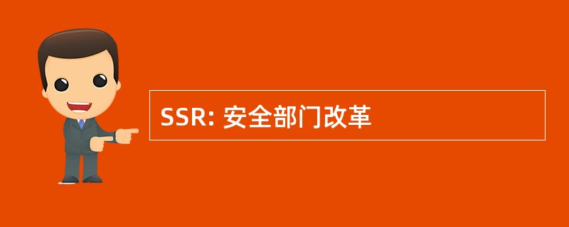 SSR: 安全部门改革