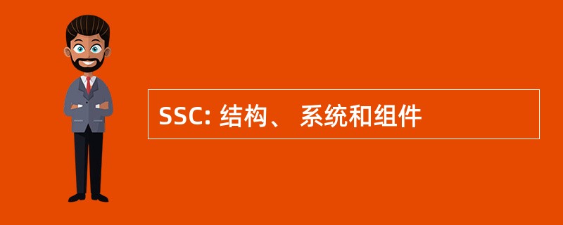 SSC: 结构、 系统和组件