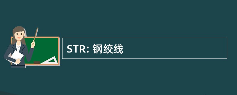 STR: 钢绞线