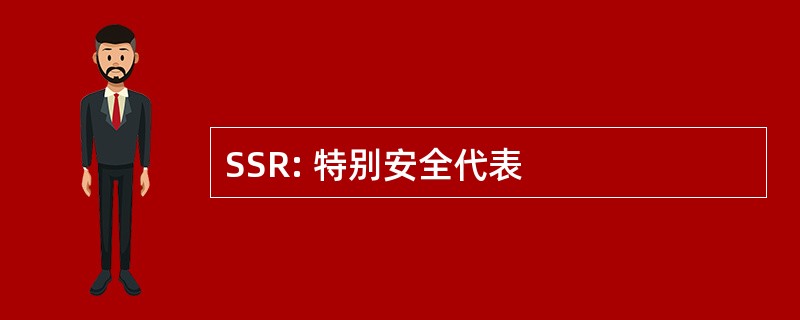 SSR: 特别安全代表