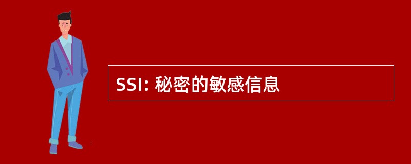 SSI: 秘密的敏感信息