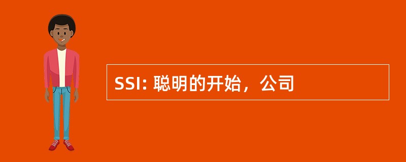 SSI: 聪明的开始，公司