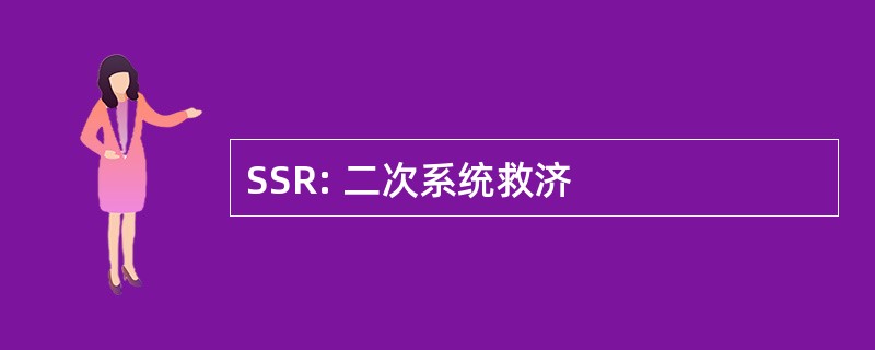 SSR: 二次系统救济