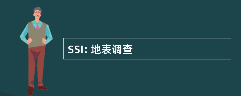 SSI: 地表调查