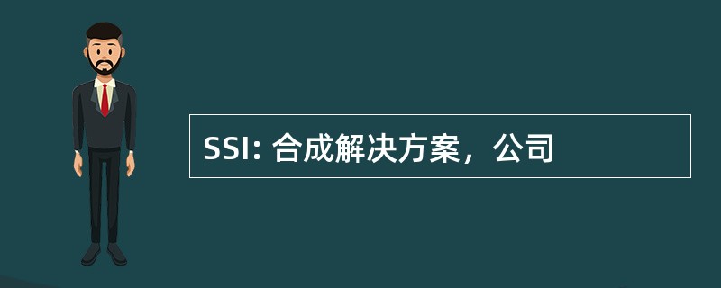 SSI: 合成解决方案，公司