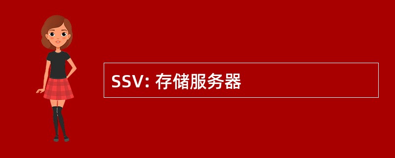 SSV: 存储服务器