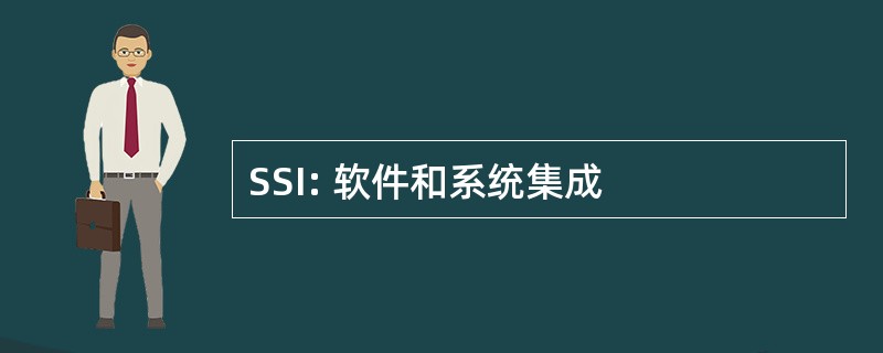 SSI: 软件和系统集成