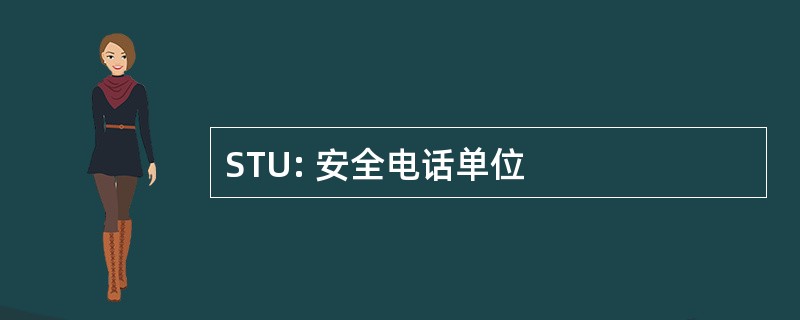 STU: 安全电话单位