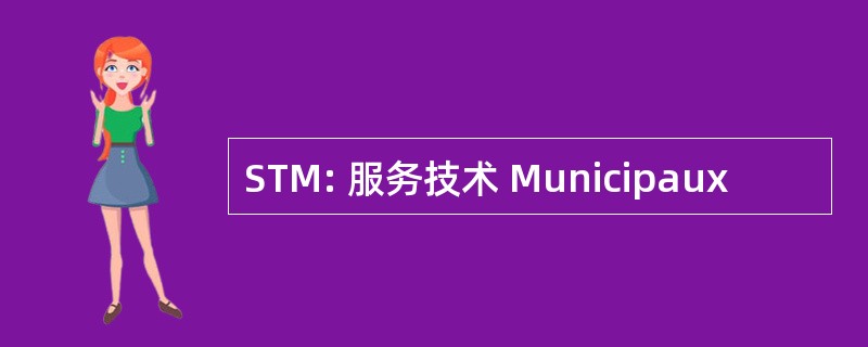 STM: 服务技术 Municipaux