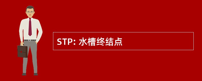 STP: 水槽终结点