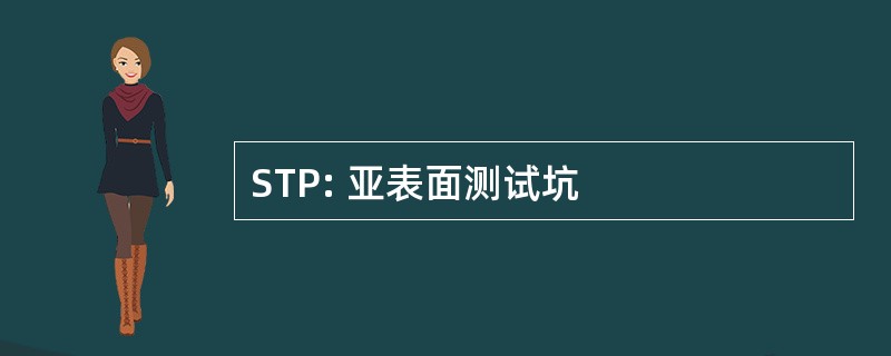 STP: 亚表面测试坑