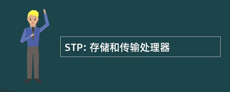 STP: 存储和传输处理器