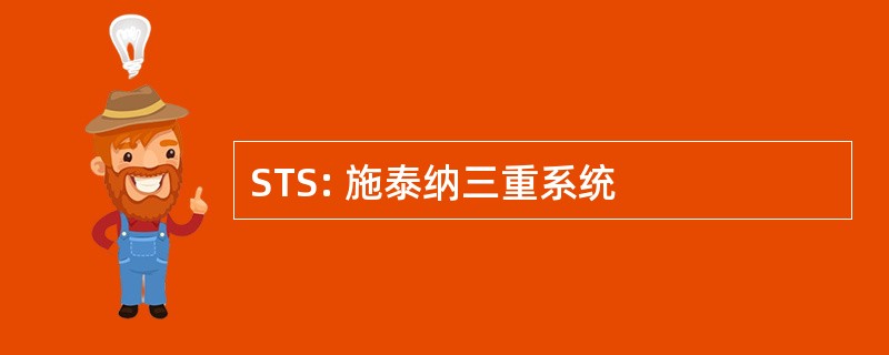 STS: 施泰纳三重系统