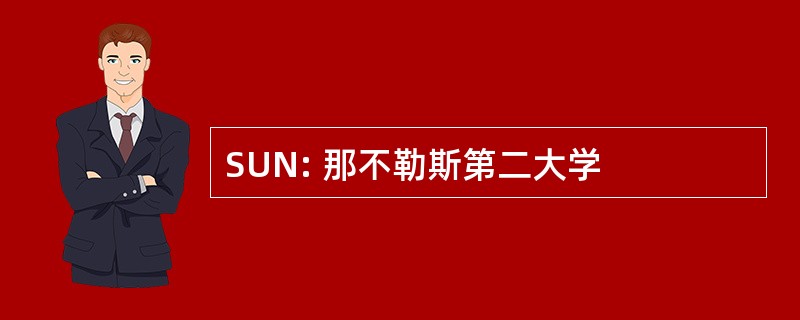 SUN: 那不勒斯第二大学