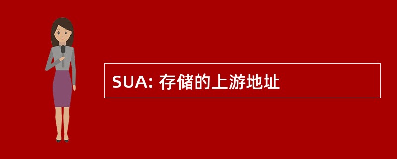 SUA: 存储的上游地址