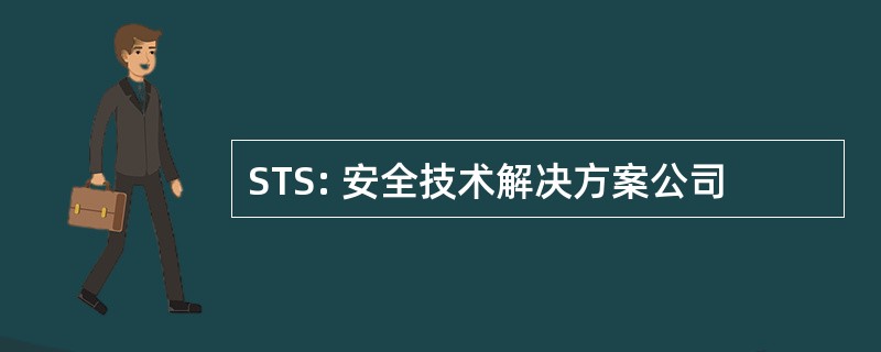 STS: 安全技术解决方案公司