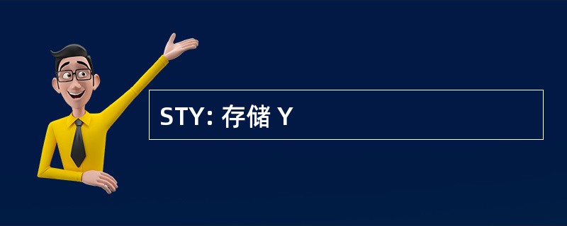 STY: 存储 Y