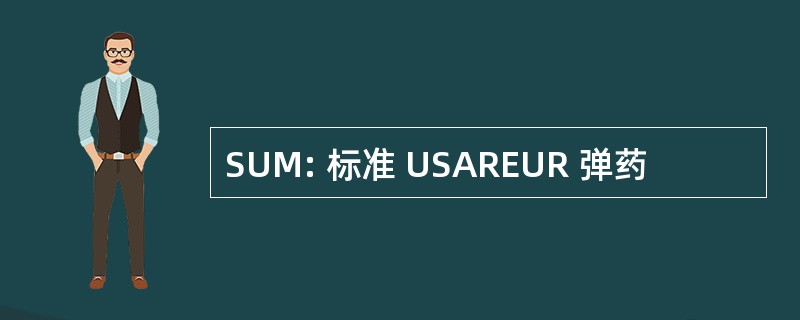 SUM: 标准 USAREUR 弹药