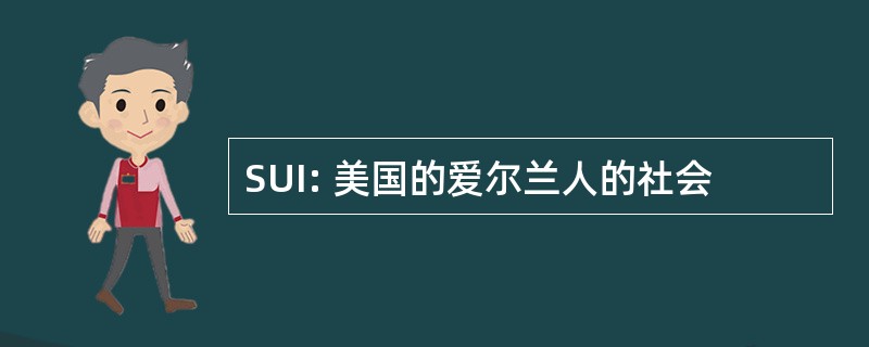 SUI: 美国的爱尔兰人的社会