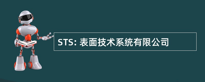 STS: 表面技术系统有限公司