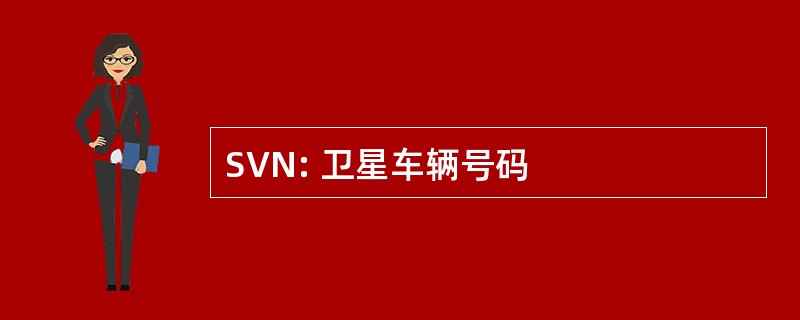 SVN: 卫星车辆号码