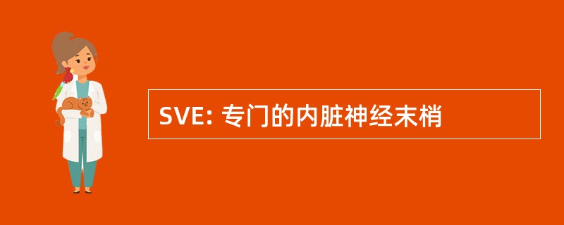 SVE: 专门的内脏神经末梢