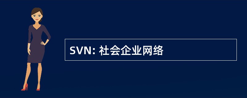 SVN: 社会企业网络