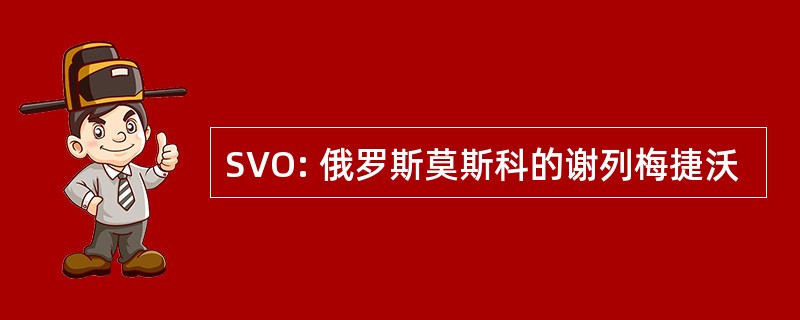 SVO: 俄罗斯莫斯科的谢列梅捷沃