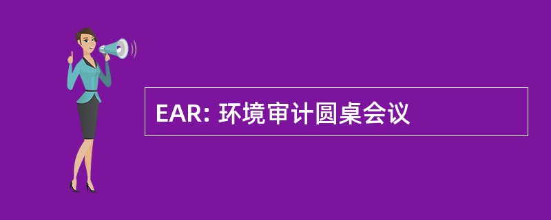 EAR: 环境审计圆桌会议