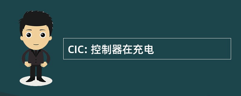 CIC: 控制器在充电