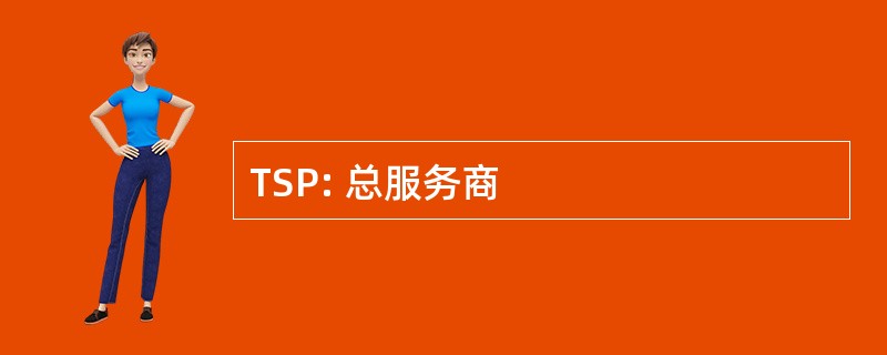 TSP: 总服务商