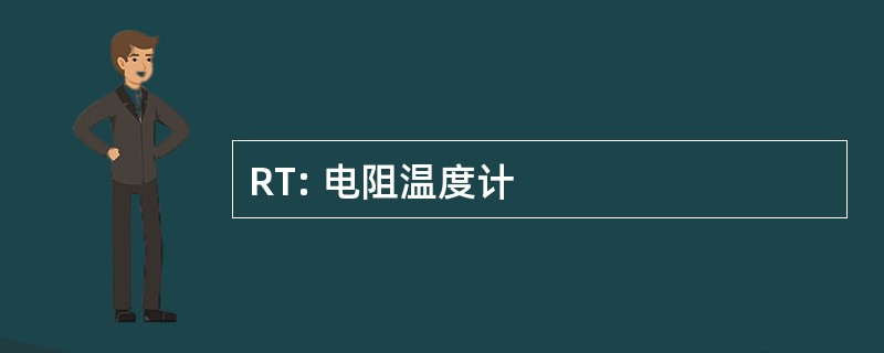 RT: 电阻温度计