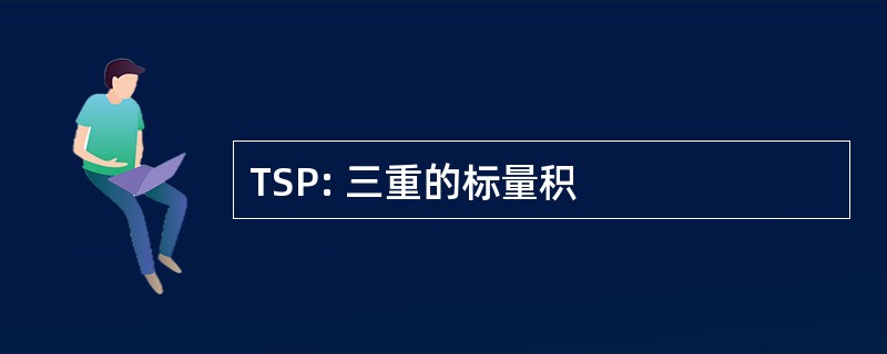 TSP: 三重的标量积