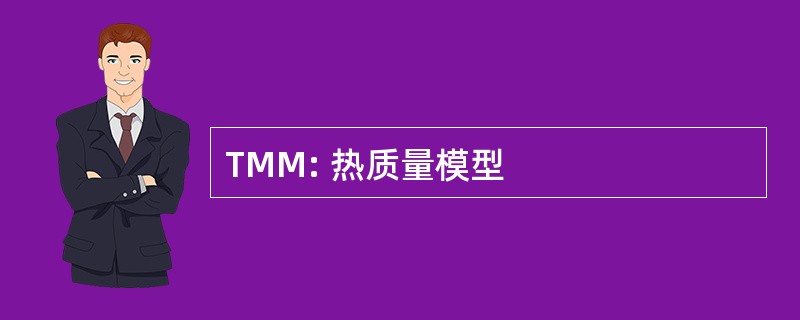 TMM: 热质量模型