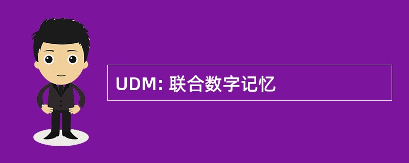 UDM: 联合数字记忆