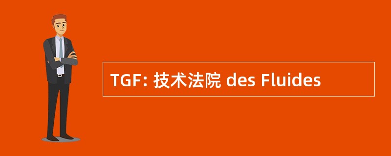 TGF: 技术法院 des Fluides