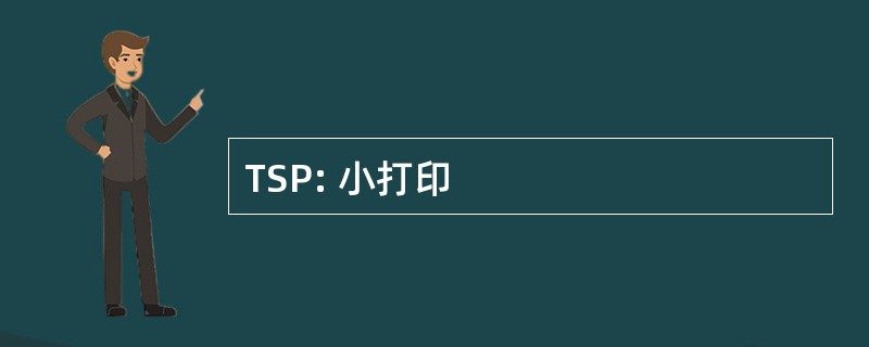 TSP: 小打印