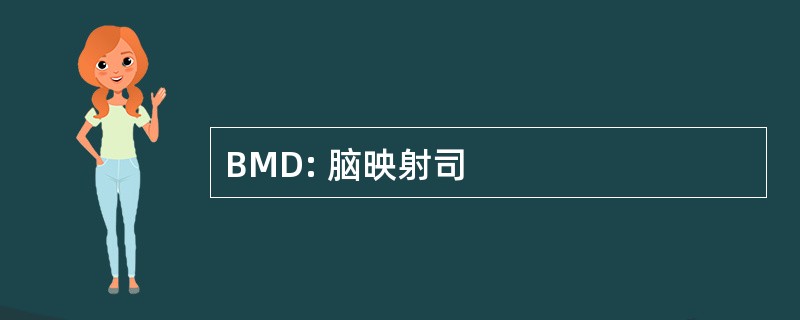 BMD: 脑映射司