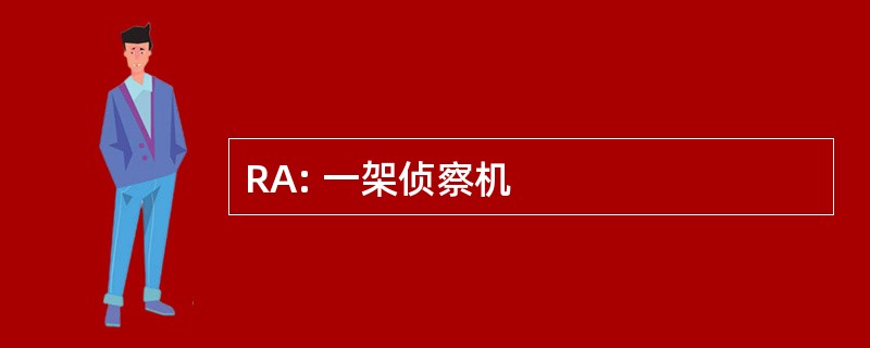 RA: 一架侦察机