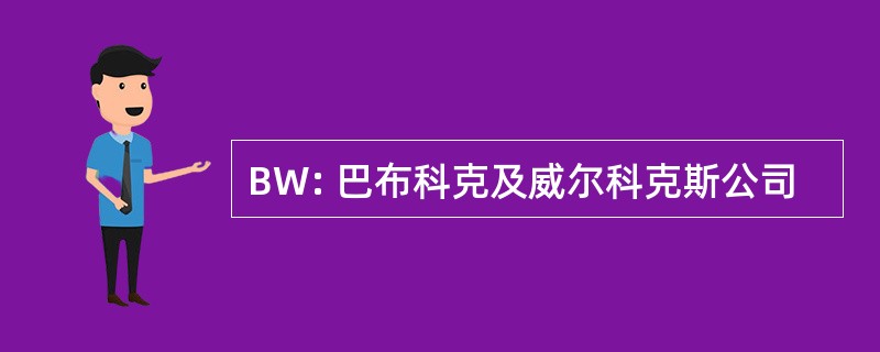 BW: 巴布科克及威尔科克斯公司