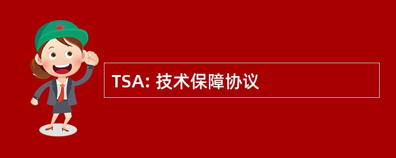 TSA: 技术保障协议