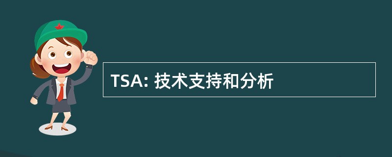 TSA: 技术支持和分析