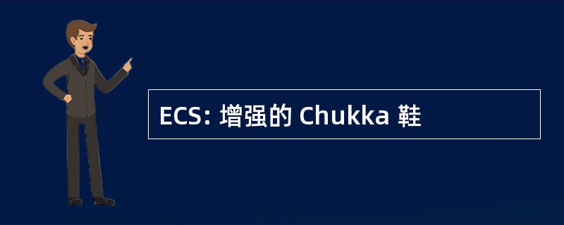 ECS: 增强的 Chukka 鞋