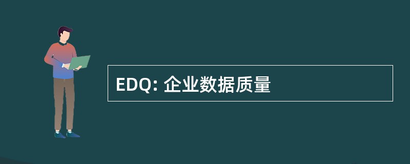 EDQ: 企业数据质量