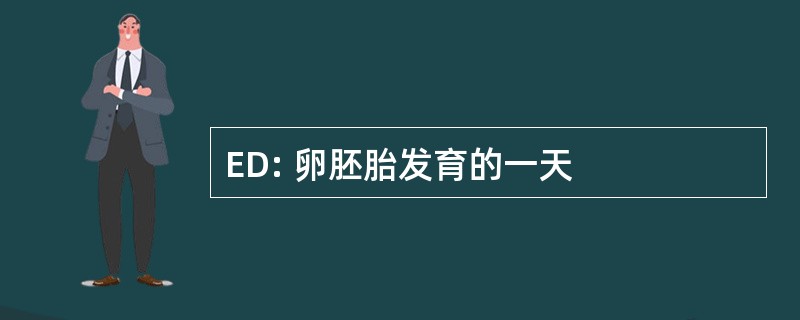 ED: 卵胚胎发育的一天